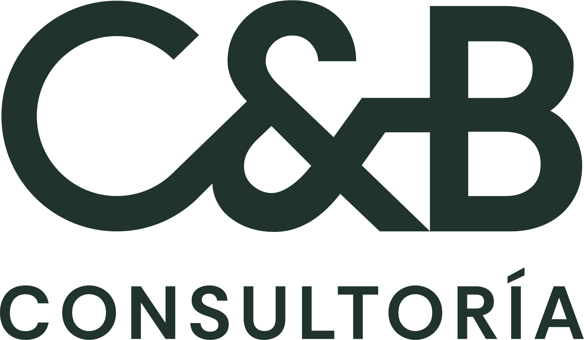 CyB Consultores